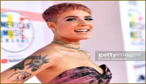 Halsey Show Got Canceled After The Amphitheater Flooded