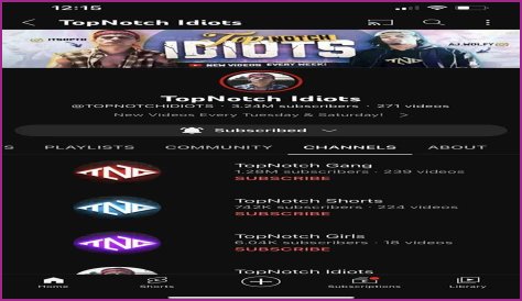 TopNotch Idiots (Web Group) - Members profile, Facts, Wiki, Achievements, Net worth 2024 (updated)
